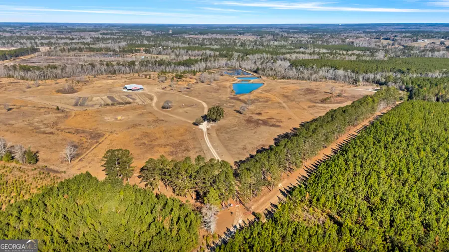 1039 Womack Road N, Garfield, GA 30425 - #3