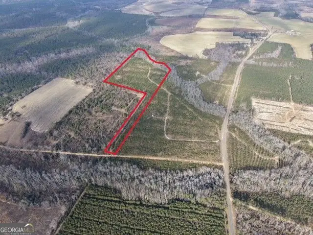 1 Dodges Chapel Road, Lumber City, GA 31549 - #3