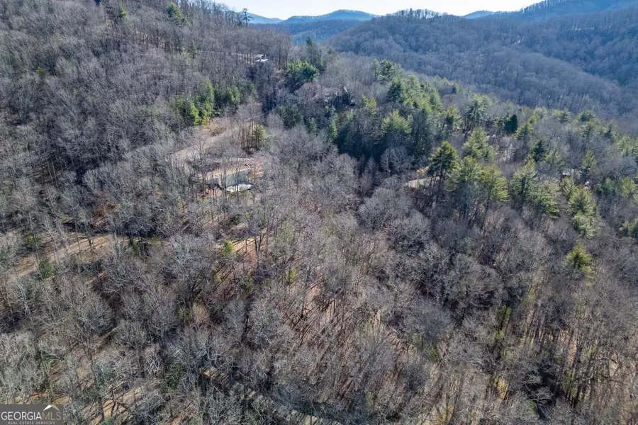 168 Buckskin Drive, Cherry Log, GA 30522 - #3