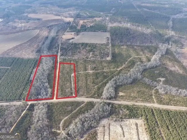 2 Powell School Road, Lumber City, GA 31549 - #3