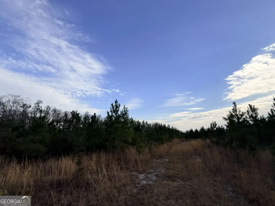 3 Powell School Rd, Lumber City, GA 31549 - #3