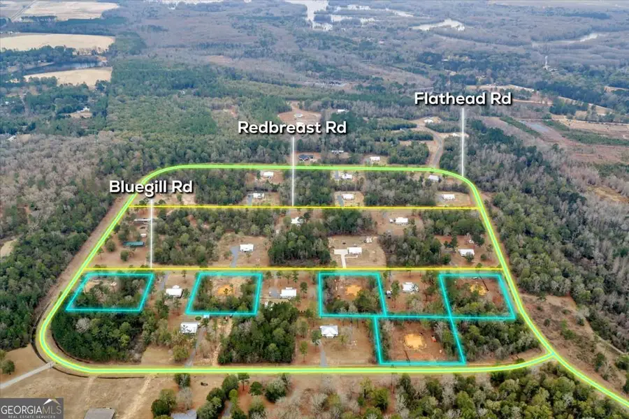 183 Bluegill Road, Vienna, GA 31092 - #3