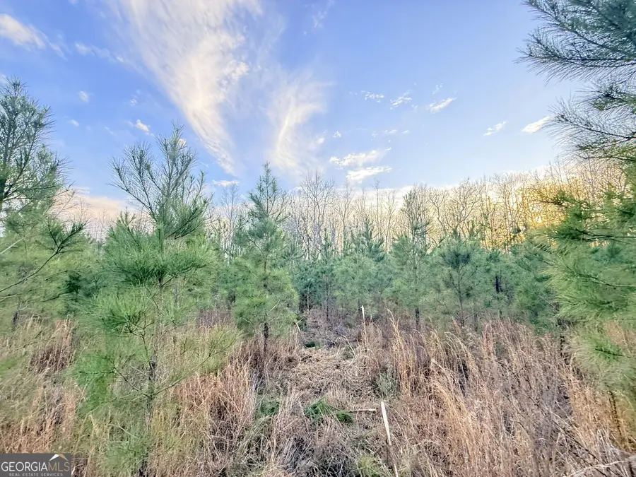 4 Powell School Road, Lumber City, GA 31549 - #3