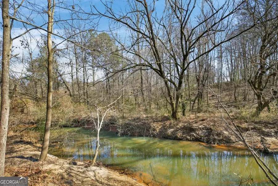 424 Delane Drive, Dallas, GA 30157 - #2