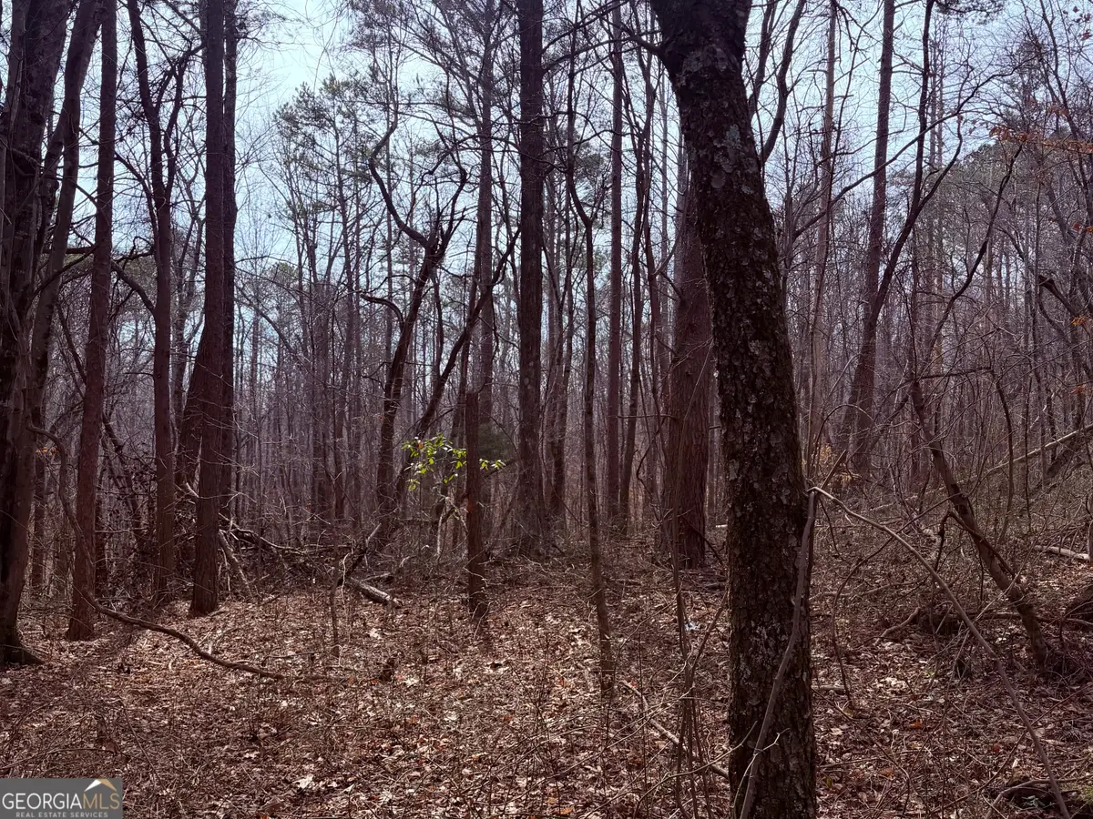 967 Old Highway 100, Waco, GA 30182 - #1