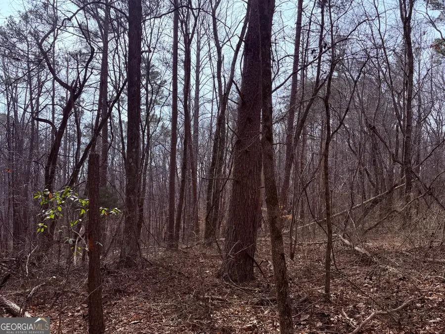 967 Old Highway 100, Waco, GA 30182 - #3