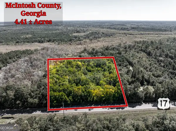 4.41 ACRES Highway 17, Townsend, GA 31331