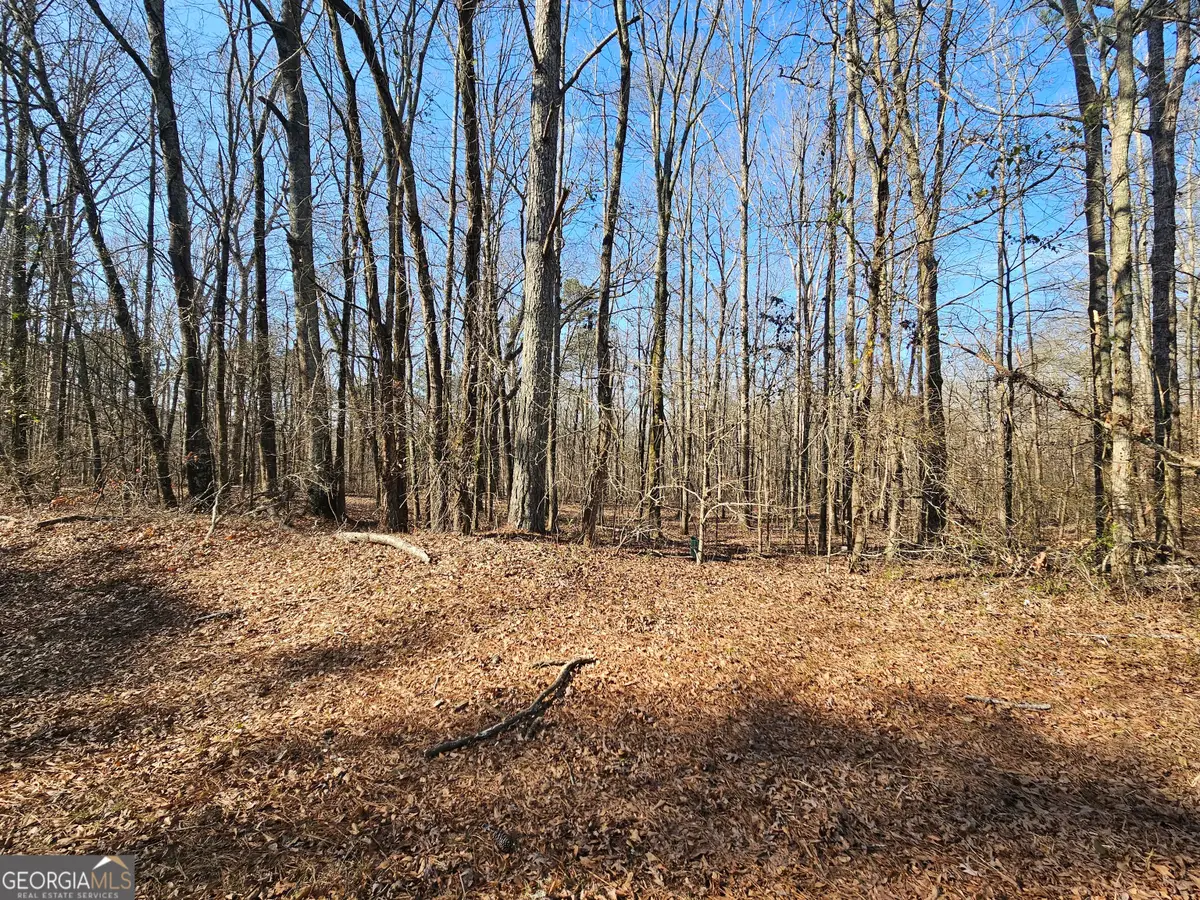 LOT 4 Manning Gin Road, Winder, GA 30680 - #1