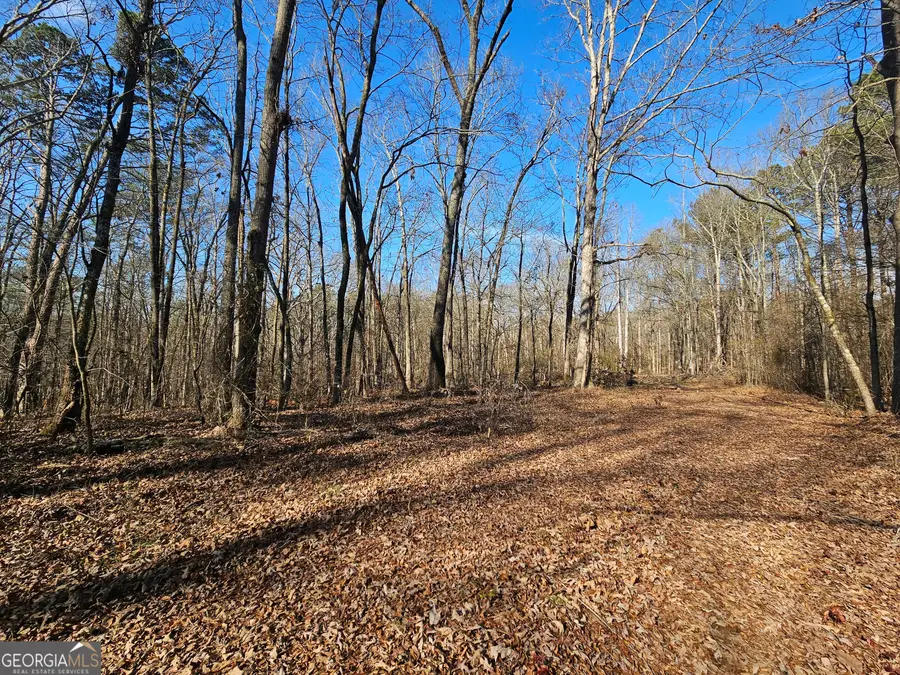 LOT 5 Manning Gin Road, Winder, GA 30680 - #3