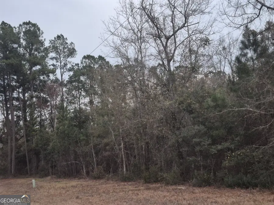 5233 Burnt Fort Road, White Oak, GA 31568 - #3