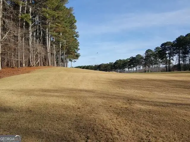 104 Hawks Court, Ball Ground, GA 30107 - #2