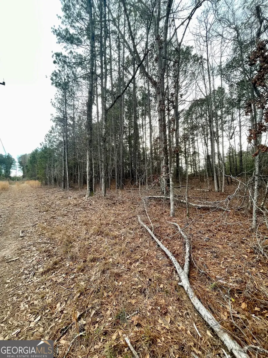 0 Padgett Road #LOT 3, Senoia, GA 30276 - #3