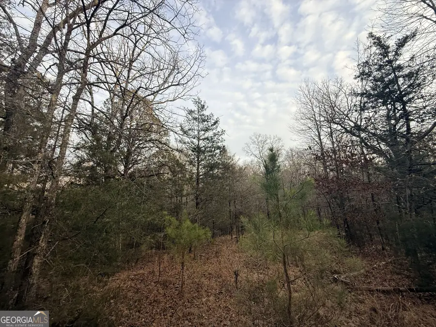 62 Reynolds Road, Washington, GA 30673 - #2