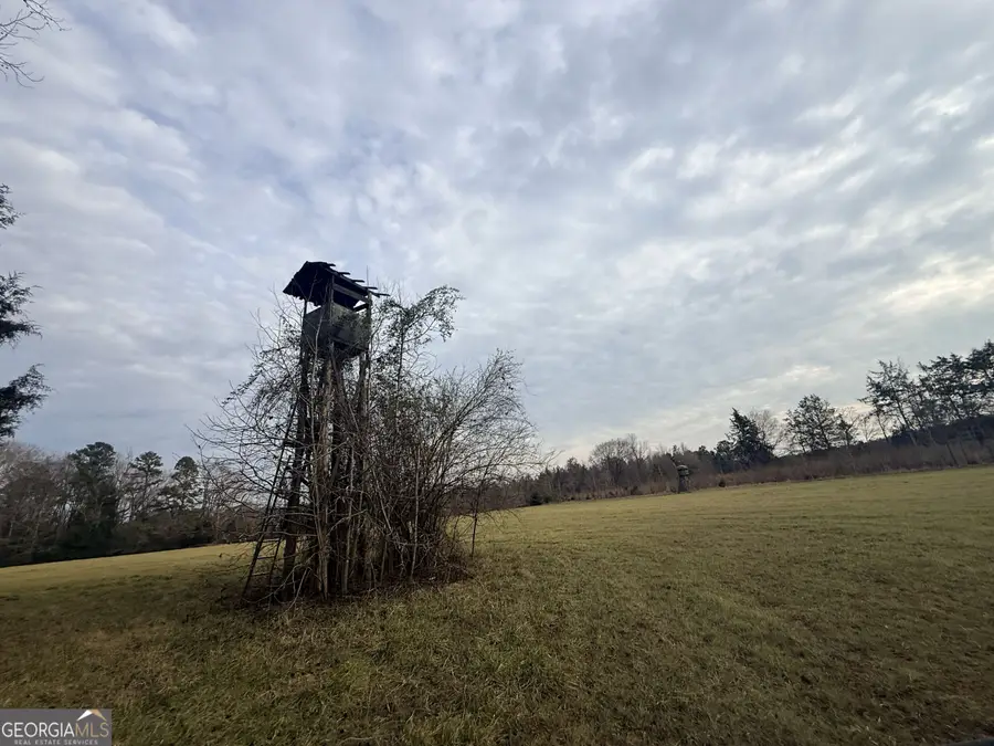 62 Reynolds Road, Washington, GA 30673 - #3