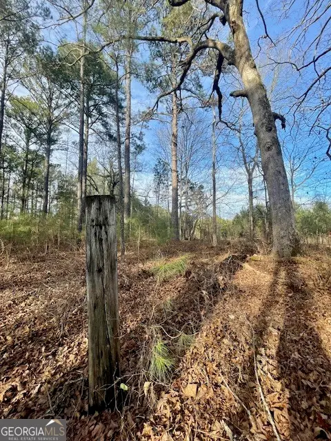 0 Padgett Road #LOT 5, Senoia, GA 30276 - #1