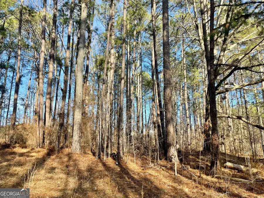 0 Padgett Road #LOT 6, Senoia, GA 30276 - #2