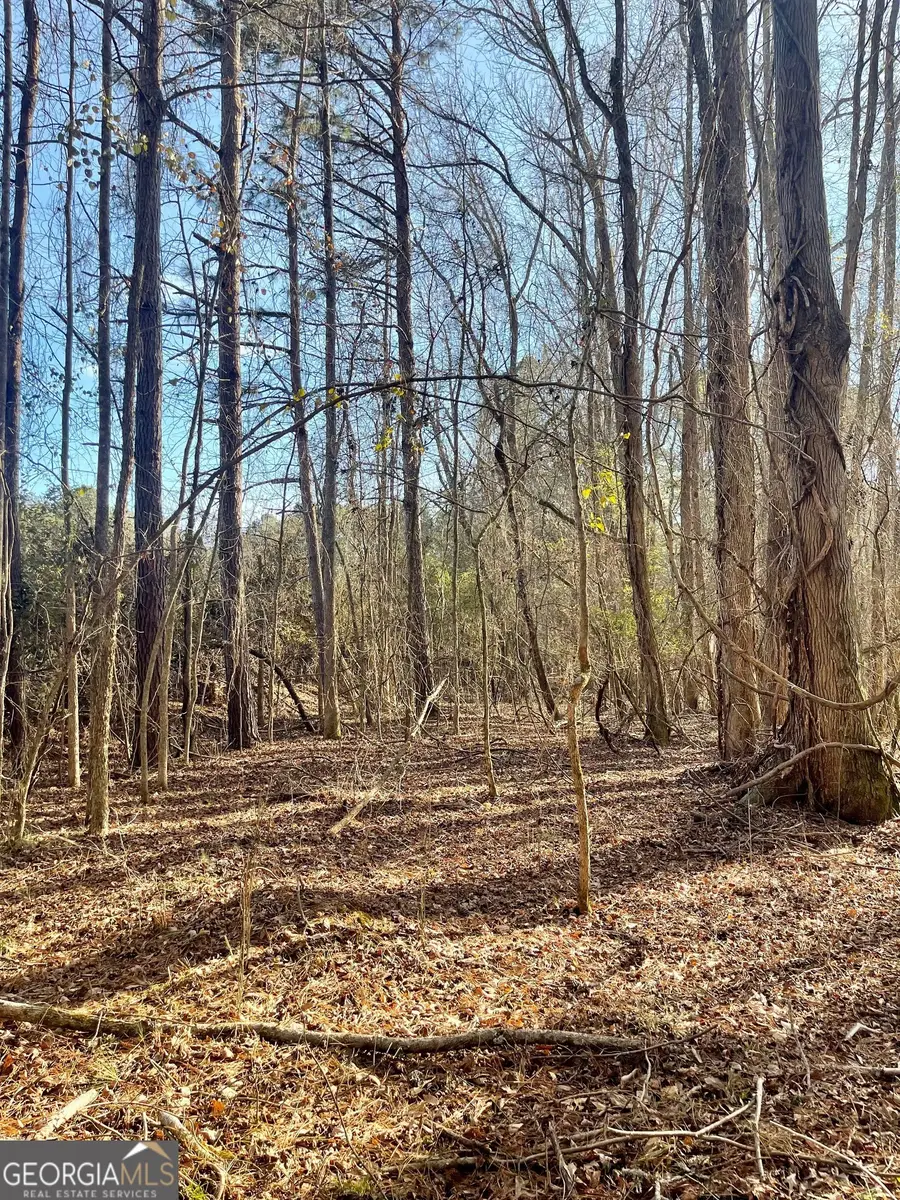 0 Padgett Road #LOT 6, Senoia, GA 30276 - #3