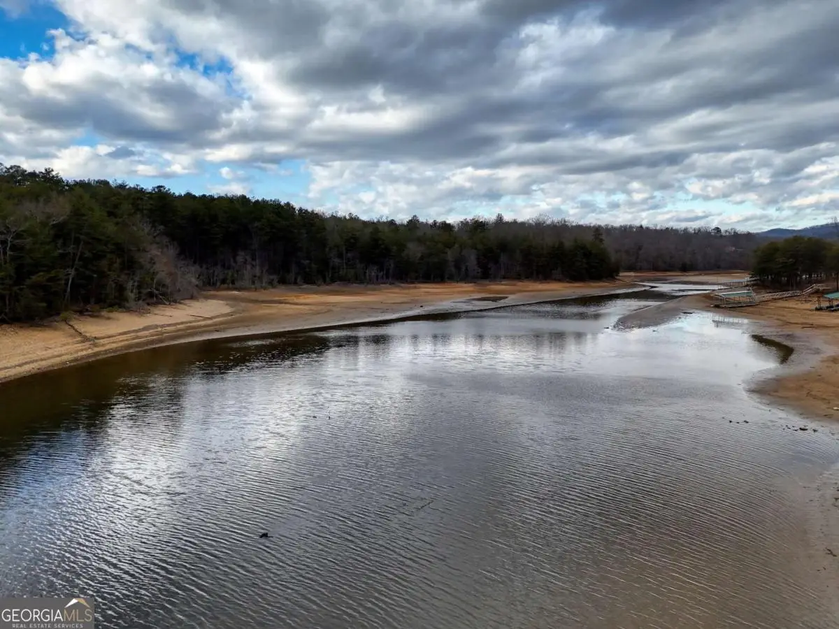 LT 28/29 New Water Way, Blairsville, GA 30512 - #1