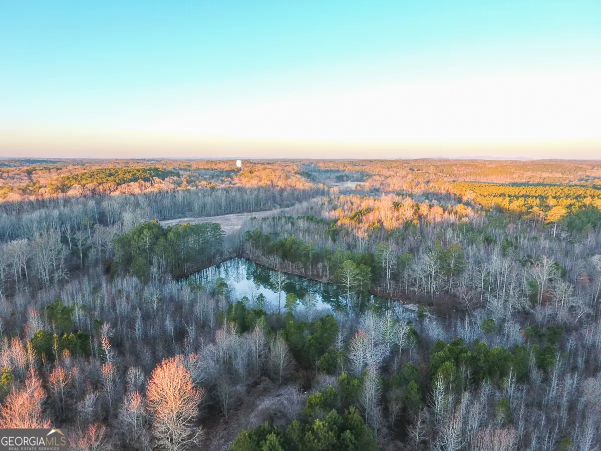 0 Wildcat Road, Buchanan, GA 30113 - #1