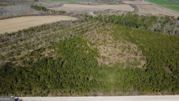 TRACT 1 Greyhound Road, Mershon, GA 31551