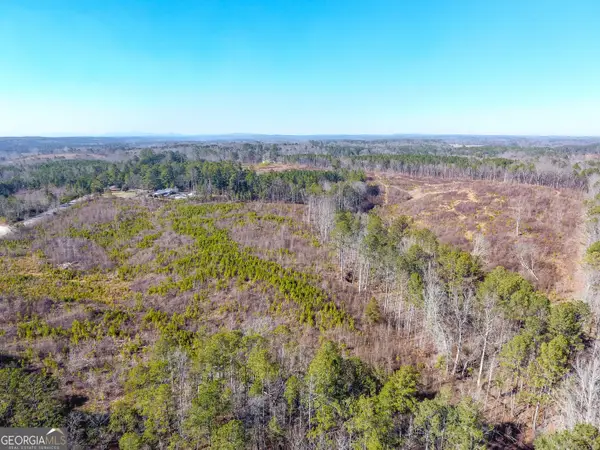 0 Steadman Road, Tallapoosa, GA 30176