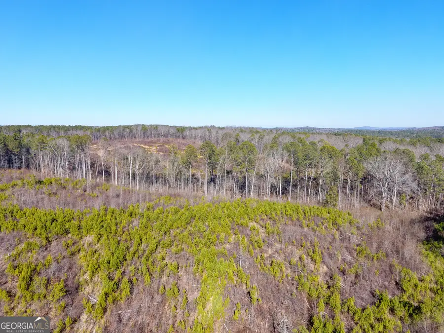 0 Steadman Road, Tallapoosa, GA 30176 - #2