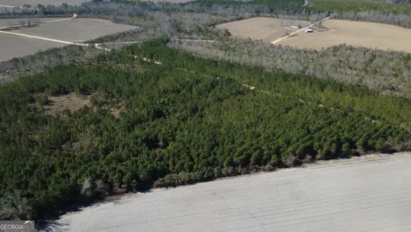 TRACT 4 Greyhound Road, Mershon, GA 31551