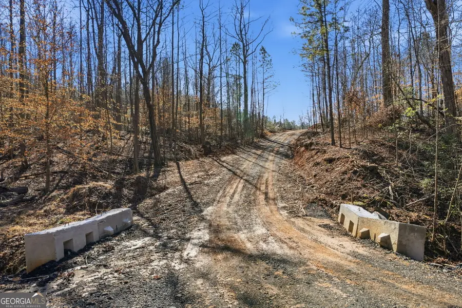 649 Dixon Road, Canton, GA 30114 - #3