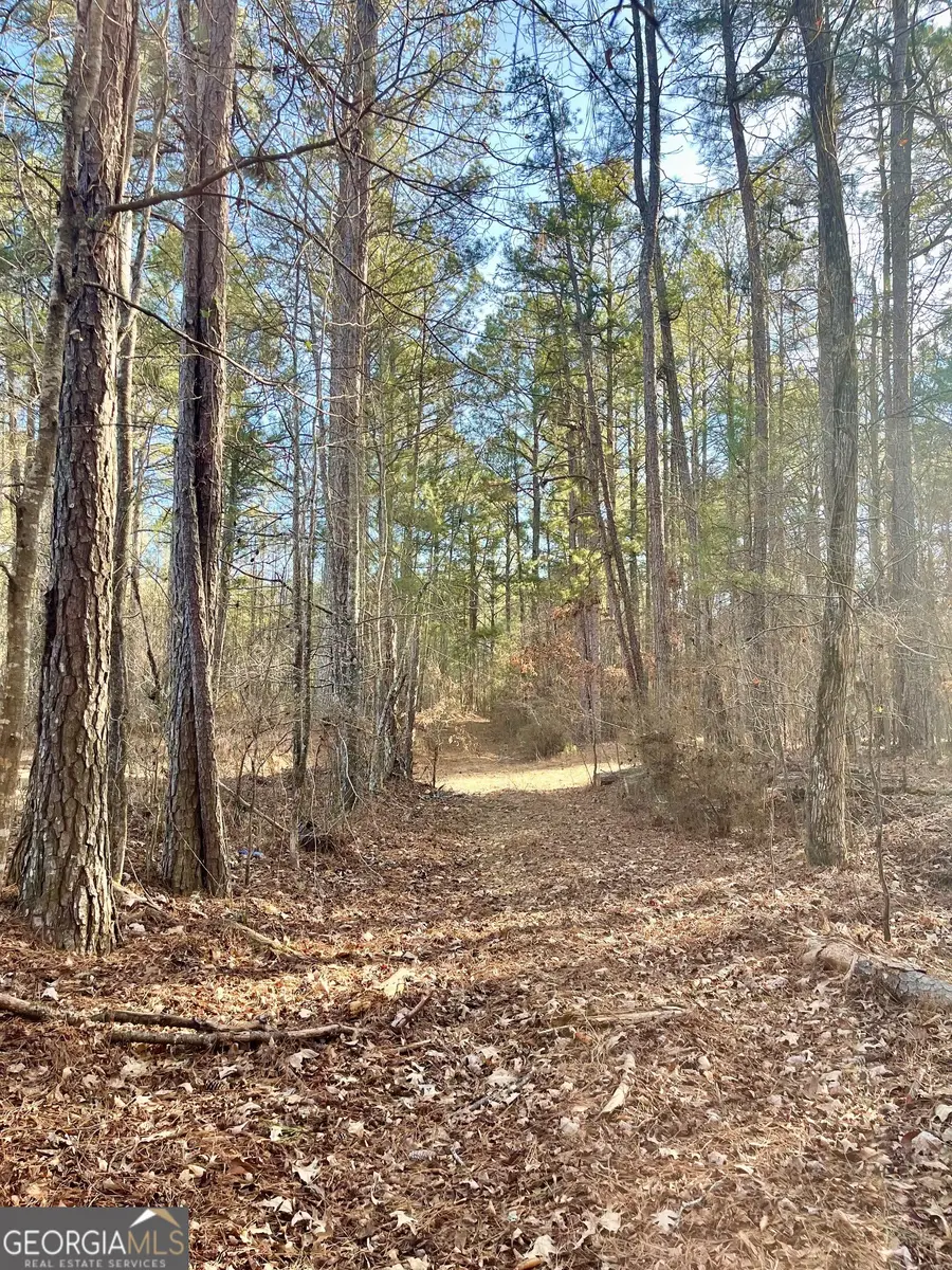 0 Padgett Road #LOT 7, Senoia, GA 30276 - #2