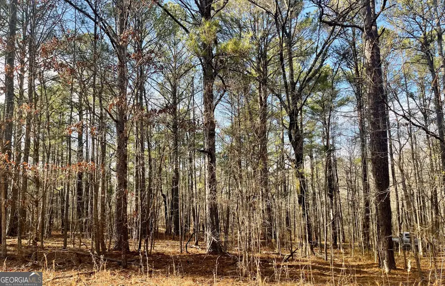 0 Padgett Road #LOT 8 FAYETTE PADGETT 14, Senoia, GA 30276 - #2