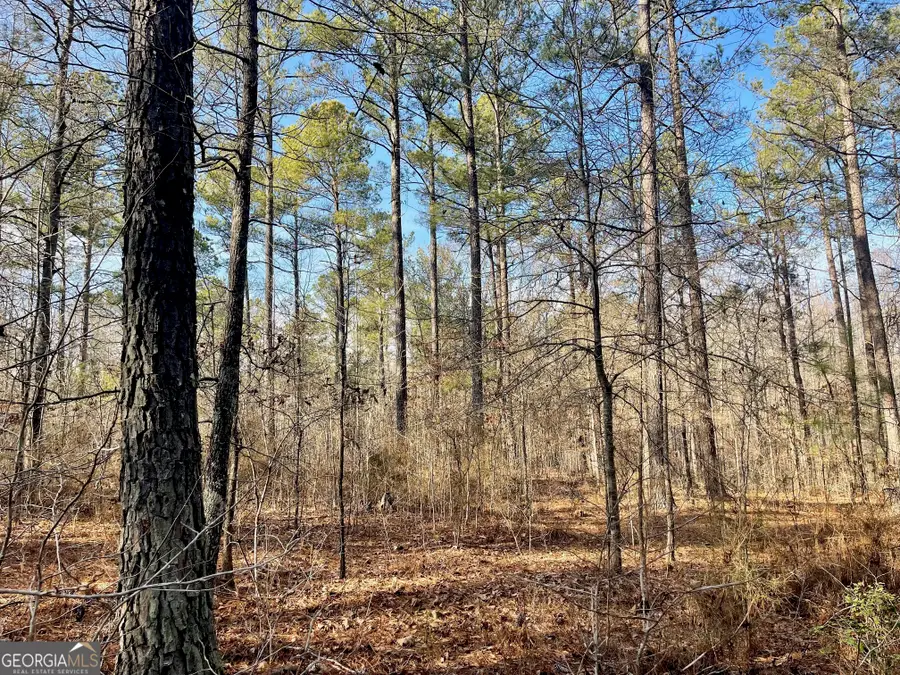 0 Padgett Road #LOT 9 FAYETTE PADGETT 14, Senoia, GA 30276 - #3