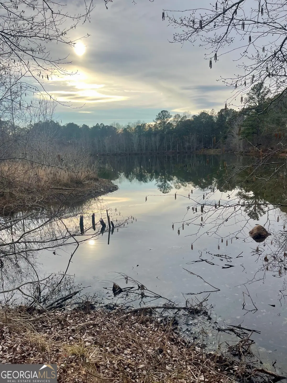 0 Padgett Road #LOT 10, Senoia, GA 30276 - #1