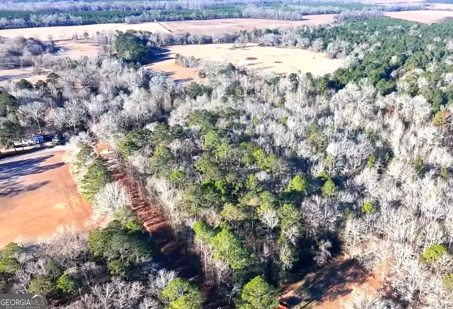 0 Byrd Hill Drive, Dudley, GA 31022 - #3