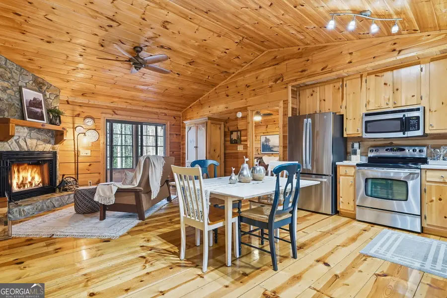 266 Chimney Rock Road #462, Cherry Log, GA 30522 - #2