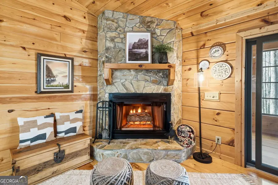 266 Chimney Rock Road #462, Cherry Log, GA 30522 - #3