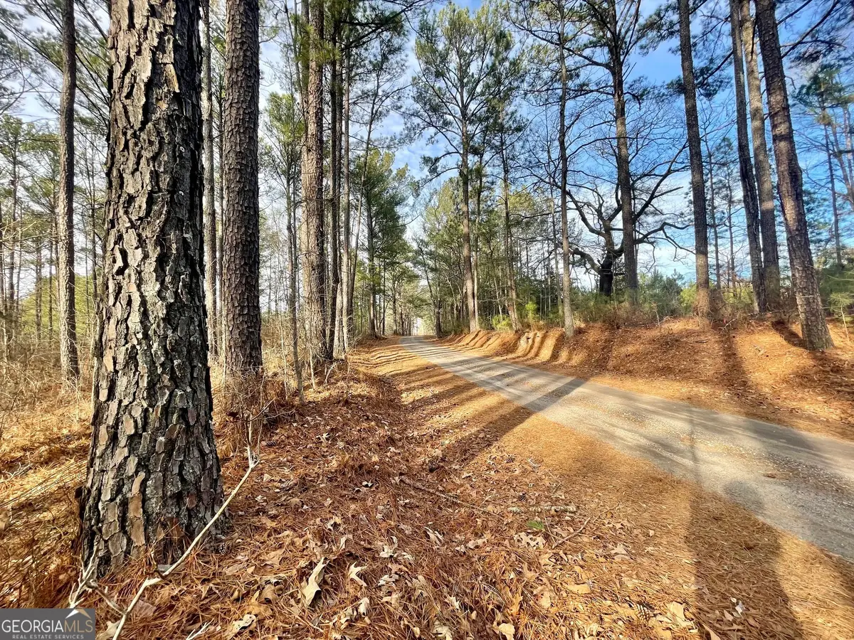 0 Padgett Road #LOT 12, Senoia, GA 30276 - #1