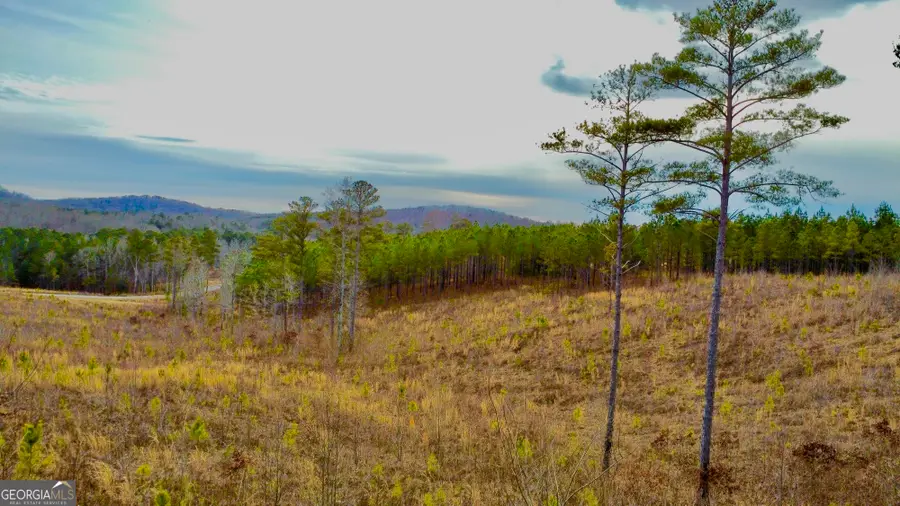 268 Highgrove Drive, Talking Rock, GA 30175 - #3