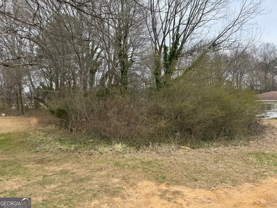 0 Davenport Street, Cedartown, GA 30125 - #3