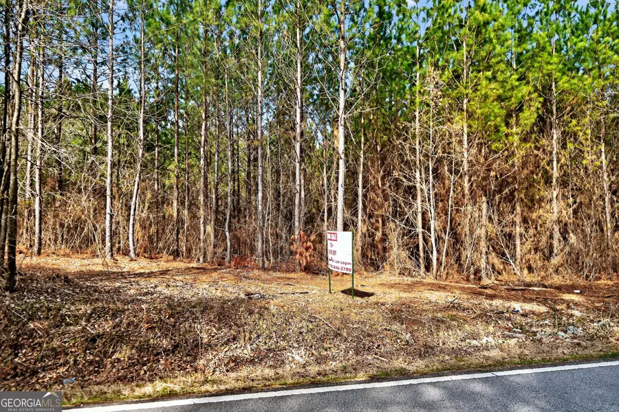 LOTS 1/2/3 Lower Harmony Rd, Eatonton, GA 31024 - #3