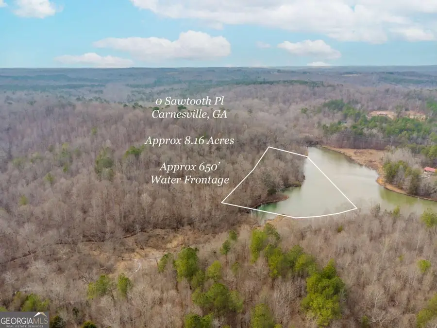0 Sawtooth Place, Carnesville, GA 30521 - #2