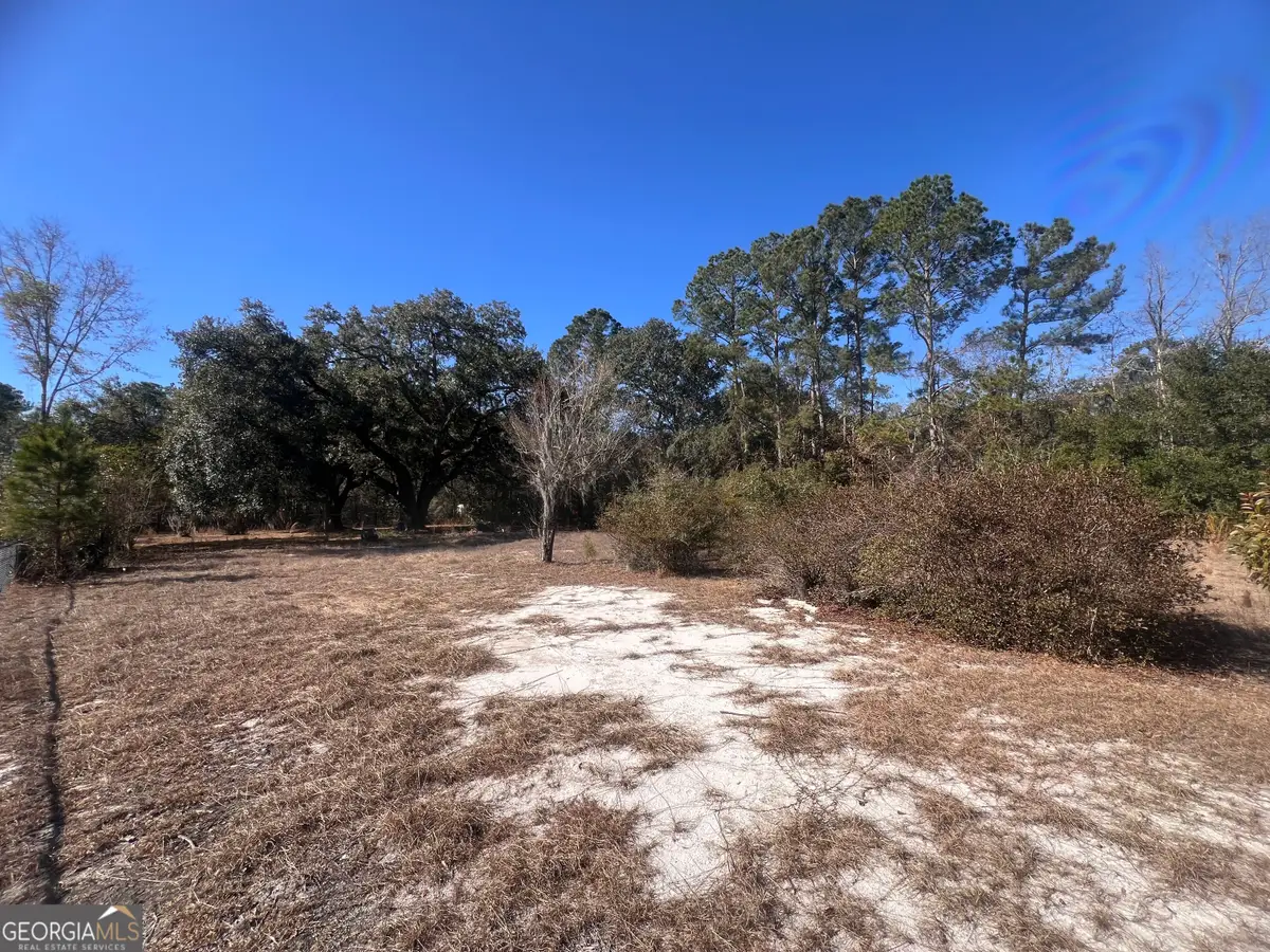 145 Cherrie Murrell Road, Hinesville, GA 31313 - #1