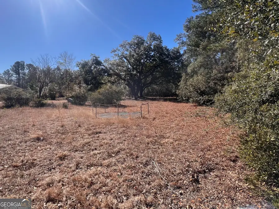 145 Cherrie Murrell Road, Hinesville, GA 31313 - #3