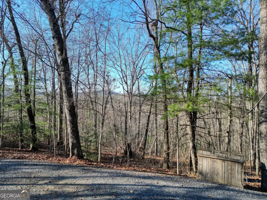 LOT 9 Sunrise Court, Blue Ridge, GA 30513 - #3