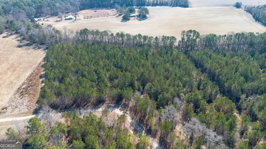 0 Clifton Rd- Lot 1, Statesboro, GA 30458 - #2