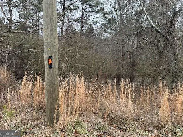 0 Jones Road, Ball Ground, GA 30107 - #3