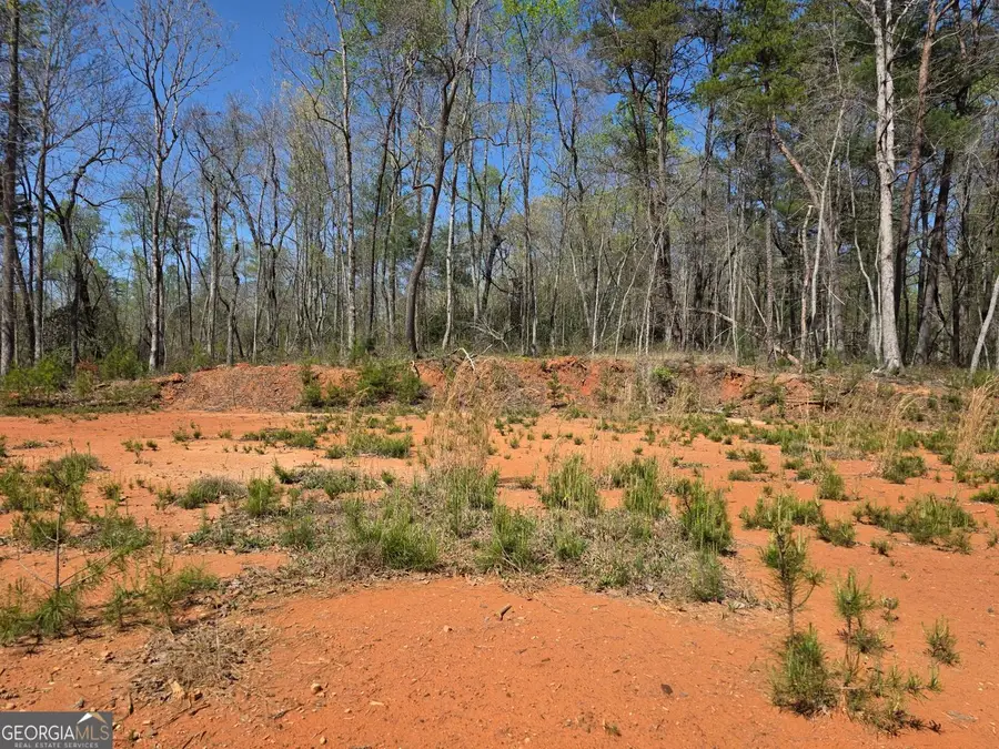 0 Thurmond Road 8.64 Acres Road, Cleveland, GA 30528 - #3