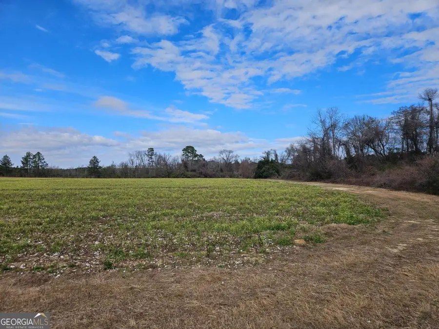 0 Garrett Road, Ashburn, GA 31714 - #3