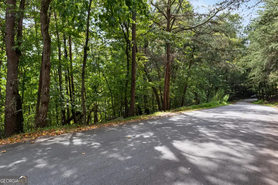 0 Sal Mountain Way, Sautee Nacoochee, GA 30571 - #3