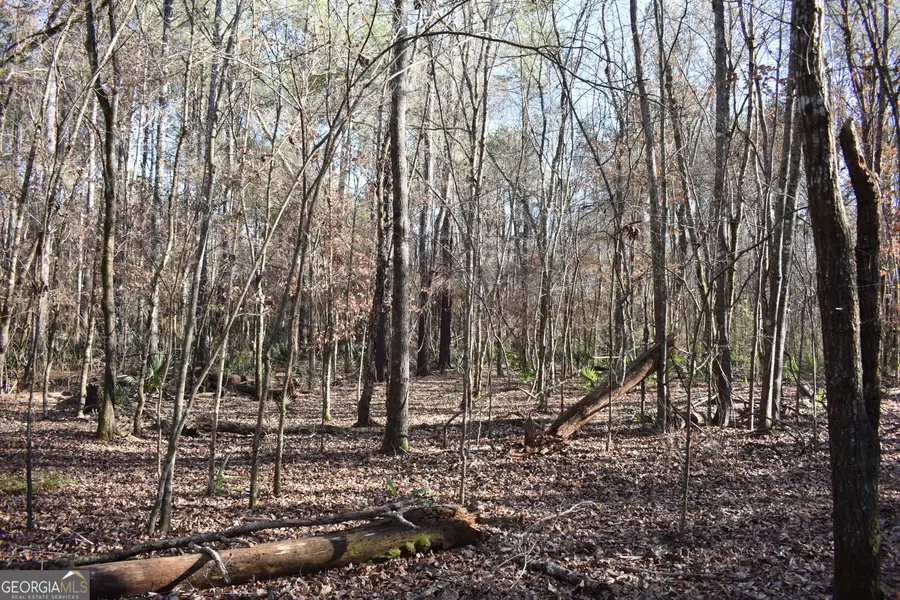 0 Bancroft Road, Blakely, GA 39823 - #2