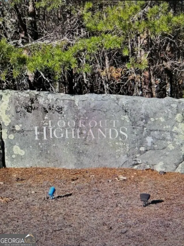 49 Challenger Way, Menlo, GA 30731 - #1